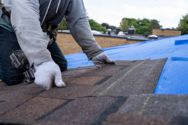 Best Shingle Roofing Installation  in Inkerman, PA